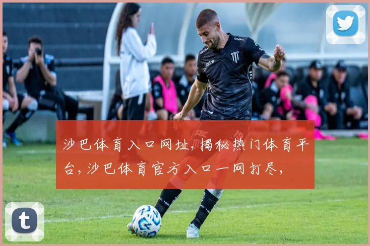 沙巴体育入口网址,揭秘热门体育平台,沙巴体育官方入口一网打尽,